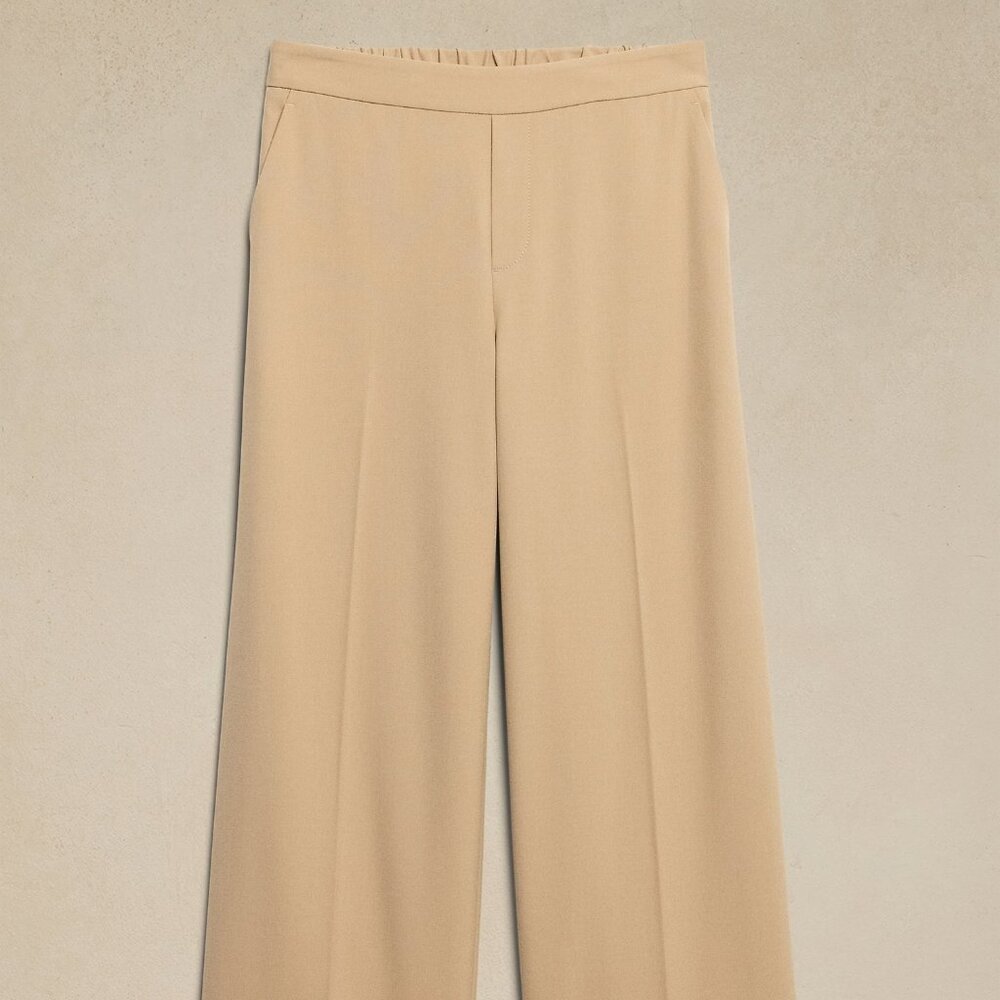 Banana Republic Hayden Wide-Leg Pant